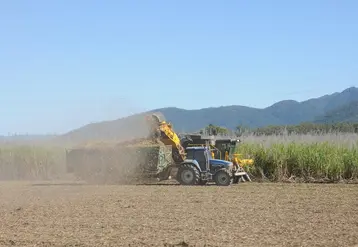 tracteur travaillant dans un champ de cannes à sucre