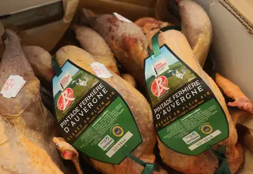 poulets label rouge dans un carton