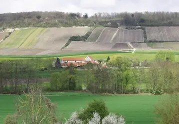   Paysage avec des parcelles de grandes cultures et de vignes  