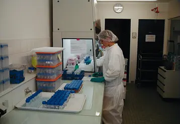 Personne réalisant un test rapide de détection de l'ESB en laboratoire