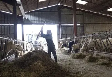   Jeune éleveuse de bovins au milieu de sa stabulation. 