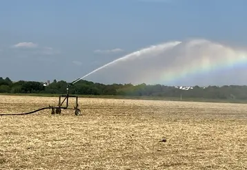 En période de sécheresse irrigation pour favoriser la levée du maïs
