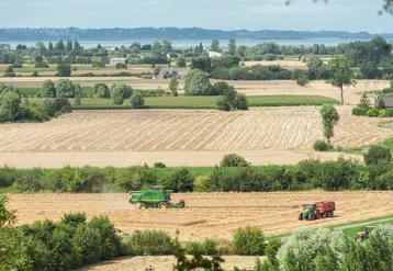vue aérienne de champs bordés de haies