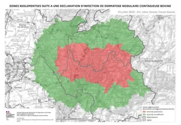 Carte des zones réglementées pour la dermatose nodulaire contagieuse bovine au 24 juillet 2025