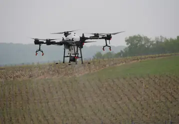 drone au dessus d'un vignoble
