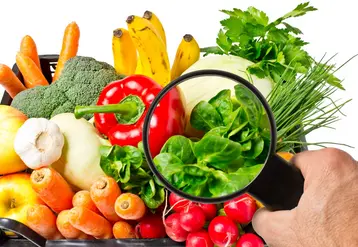 fruits et légumes avec une loupe au premier plan