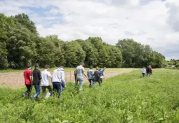 Jeunes marchant dans un pré