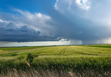   Paysage agricole avec au loin un nuage orageux 