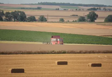 Paysage agricole de polyculture  