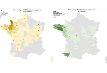 Cartes présentant les cas de FCO3 et FCO8 recensés depuis le 1er juin 2025 en France.
