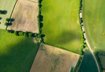 Champs et haies en vue aérienne  