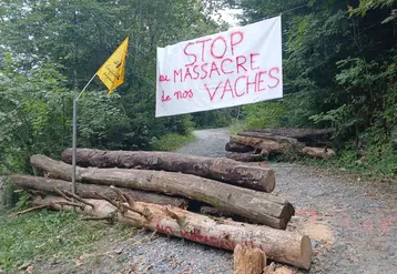 Route bloquée par des troncs d’arbre avec un pancarte « stop aux massacres des vaches » et un drapeau de la Coordination rurale