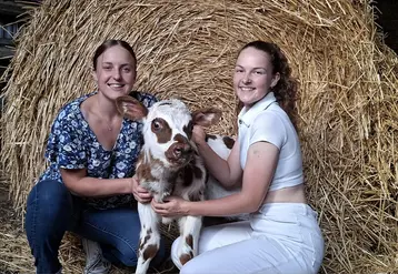 Deux jeunes étudiantes avec un veau devant accroupies devant une botte de paille