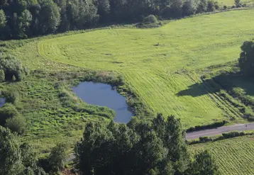 vue aérienne de champs avec une mare au milieu