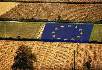 parcelles dans un champ avec drapeau européen au centre