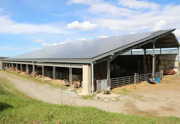   Panneaux photovoltaïques sur un bâtiment d’élevage 
