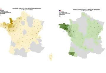 Carte des foyers de FCO 3 et FCO 8 recensés depuis le 1er juin 2025 jusqu'au 25 septembre 2025