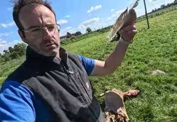 Guillaume, éleveur de brebis, devant une carcasse de brebis dépecée et tenant à la main une plume de vautour. 