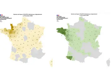 Carte des foyers de FCO 3 et FCO 8 recensés depuis le 1er juin 2025 jusqu'au 16 octobre 2025