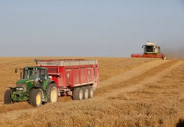 moisson : tracteur dans un champ de blé