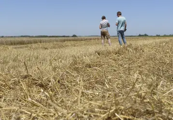   Un agriculteur et sa fille de dos de loin dans un champs moissonné 