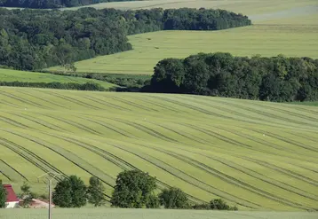 Paysage agricole vu d’une montgolfière