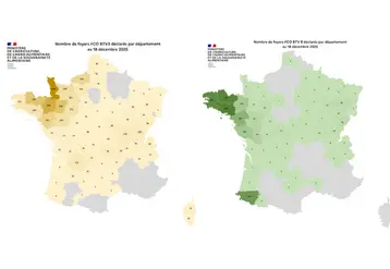 Cartes des foyers de FCO3 et FCO8 au 18 décembre 2025.