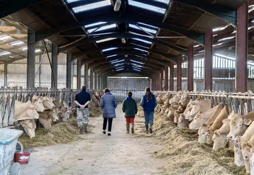 Annie Genevard de dos avec des éleveurs dans une stabulation 