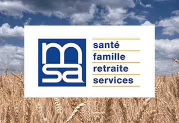 image réalisée avec un logo MSA au milieu d'un champ de blé