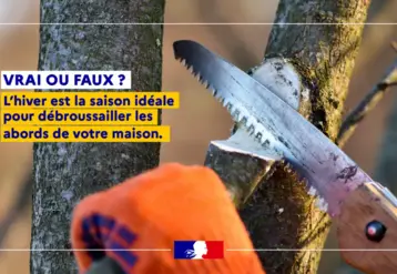 affiche montrant en gros plan des mains sciant une branche