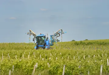 Traitement phytosanitaire par pulvérisation dans les vignes avec un tracteur en Gironde.  