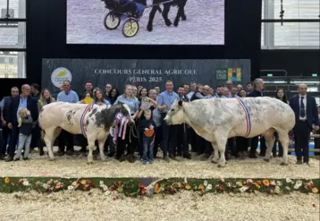 deux vaches lauréates au concours général agricole 2026