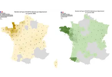 Cartes des foyers de FC03 et FCO8 depuis le 1er juin 2025