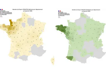 Cartes des foyers de FCO3 et FCO8 enregistrés entre le 1er juin et le 8 janvier 2026 en France