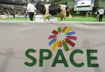 Concours de vaches au Space 2025
