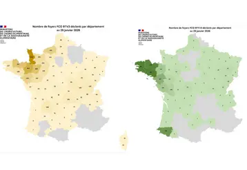 Cartes des foyers de FC03 et FCO8 depuis le 1er juin 2025
