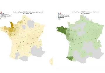 Cartes des foyers de FC03 et FCO8 depuis le 1er juin 2025