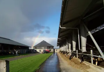bâtiments d'élevage bordés par un ruisseau et une platebande d'herbe