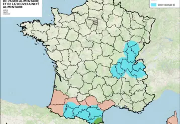 Carte des zones réglementées et vaccinales en lien avec la DNC au 20 février 2026.