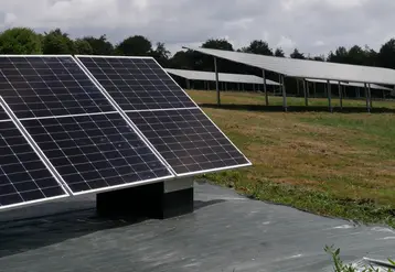 panneaux photovoltaïques dans un champ