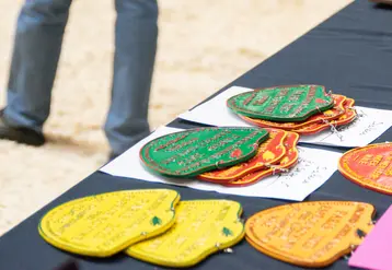 Plaques du concours général agricole posées sur une table