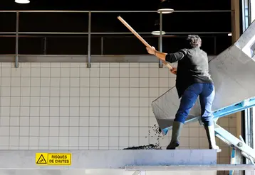 Travail en cave d’un salarié après livraison du raisin pour vinification. Un panneau de signalisation du danger de chute est visible, pour la prévention des risques d'accident. 