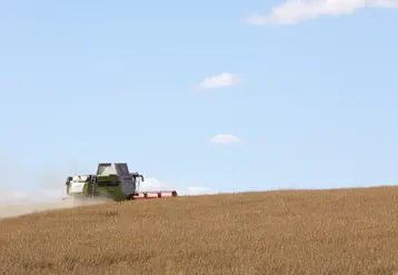 tracteur moissaonnat dans un champ de blé