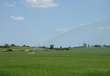 Irrigation dans un champ de céréales