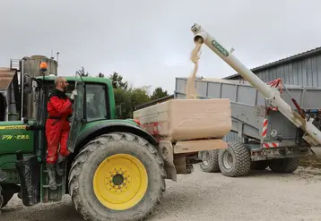 Chargement en engrais en granule avant l'épandage dans les champs