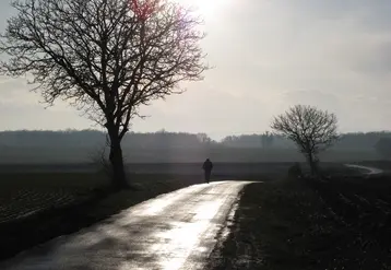 Agriculteur marchant seul sur une route dans la campagne entre les champs