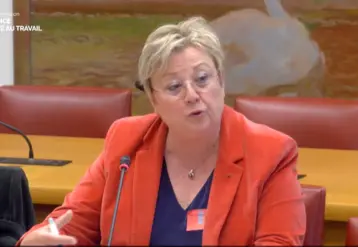   Anne Gautier, vice-présidente de la MSA, auditionnée le 29 avril au Sénat.  