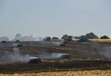 Feu de champs pendant la moisson