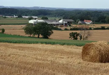Paysage agricole