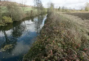 Cours d' eau, rivière et bande herbeuse près d' un champ de culture agricole en automne.